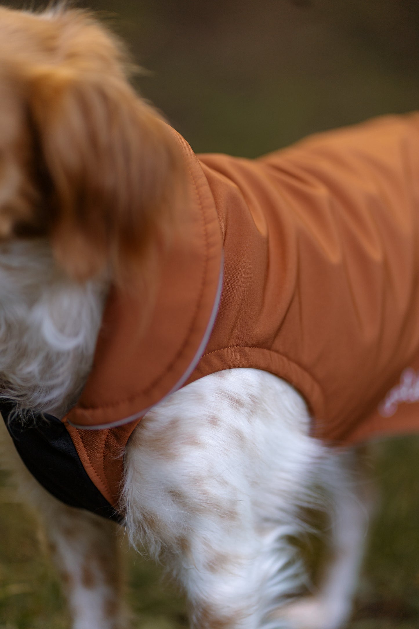 leichter Hundemantel CosyShell light cognac