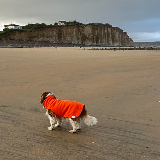Hundepullover CosyShirt stay warm Fleece orange