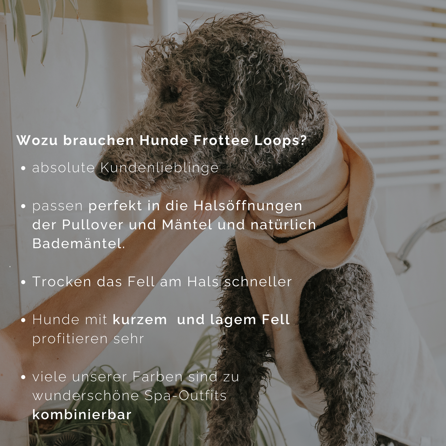 Hundeloop Frottee dry stripes dunkelblau - weiß