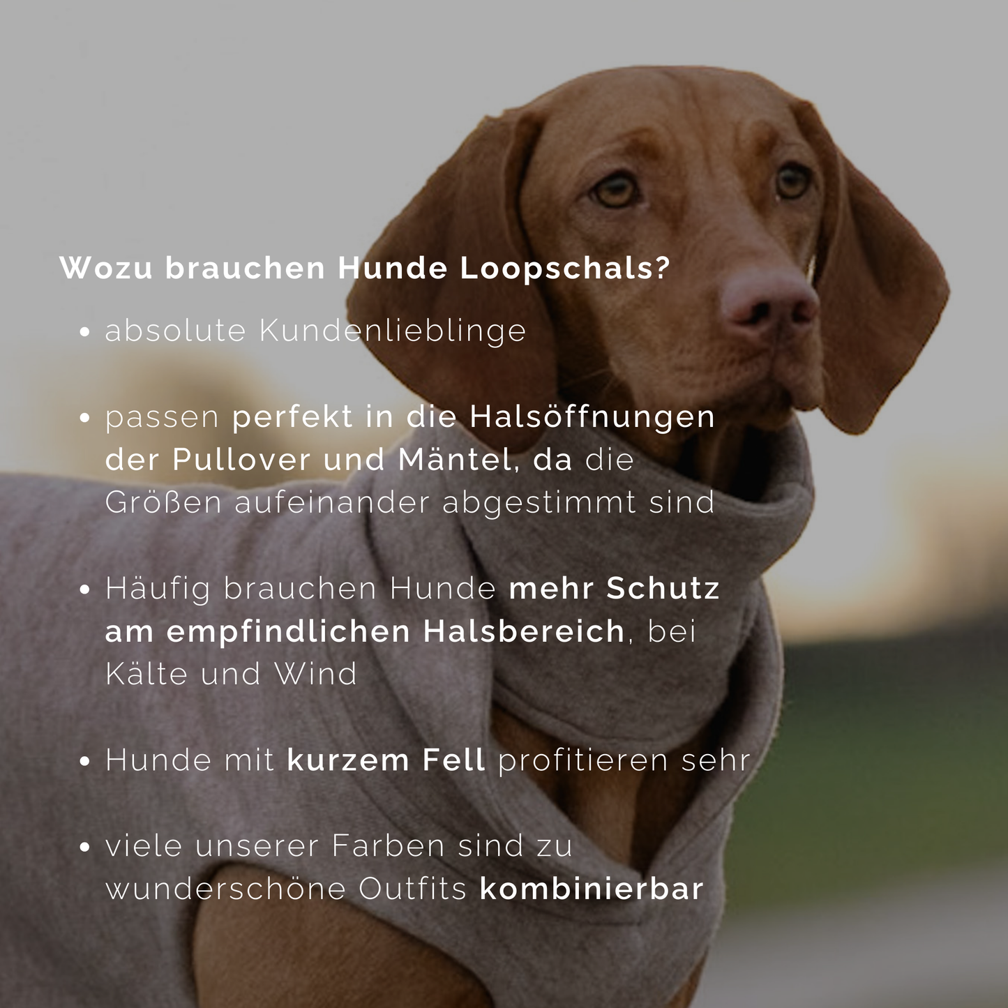 Hundeloop Strick zimtfarben