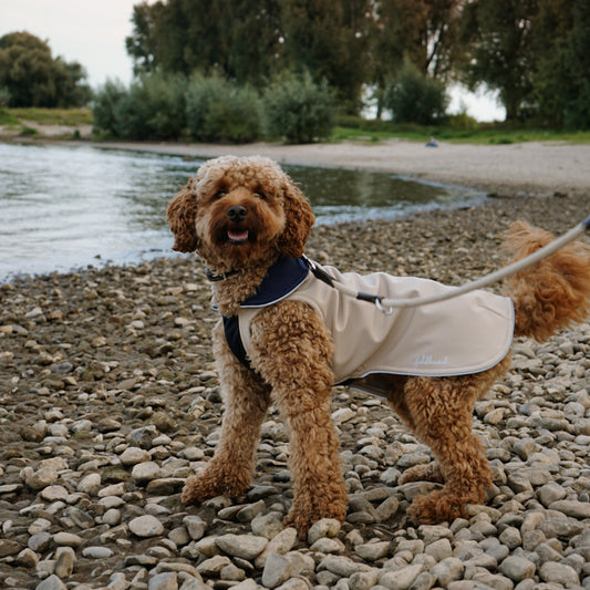 leichter Hundemantel CosyShell light stonebeige / dunkelblau