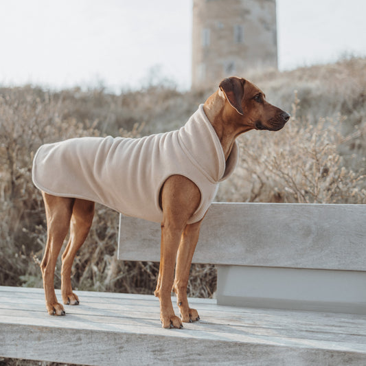 Hundepullover CosyShirt stay warm Fleece oatmeal
