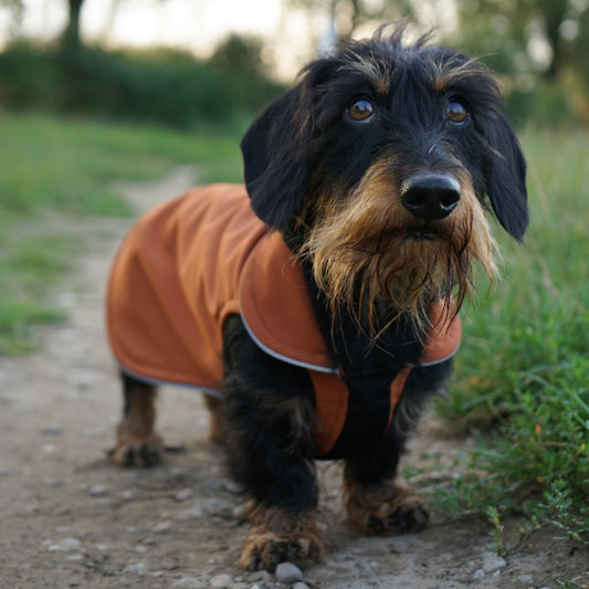 SALE leichter Hundemantel CosyShell light cognac Gr 4 long