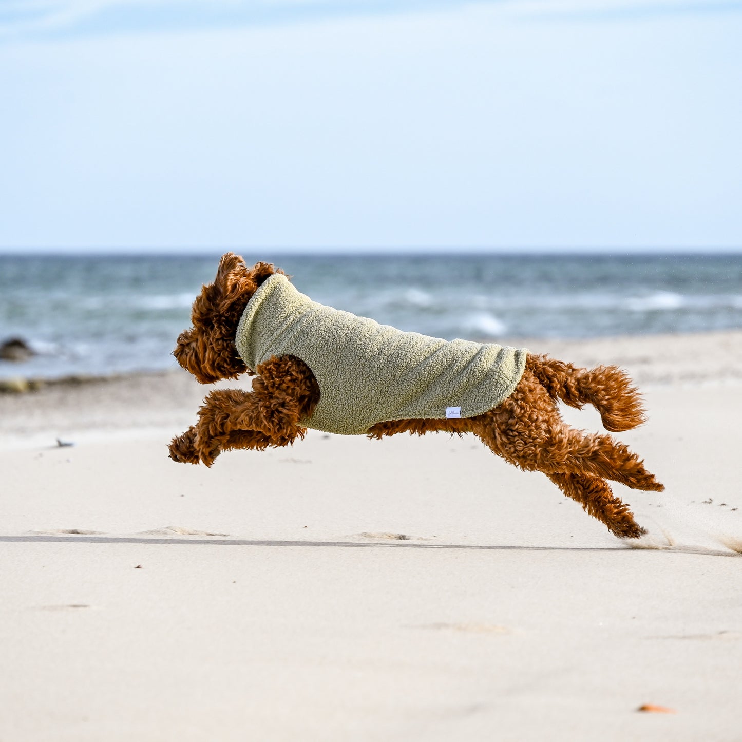 Hundepullover CosyShirt stay warm Teddy sage