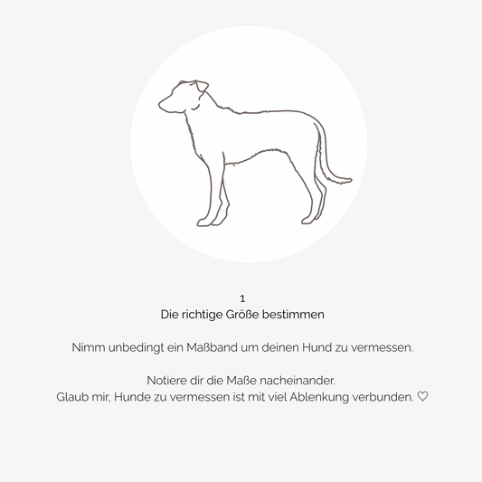 Hundegeschirr CARE Teddy cognac