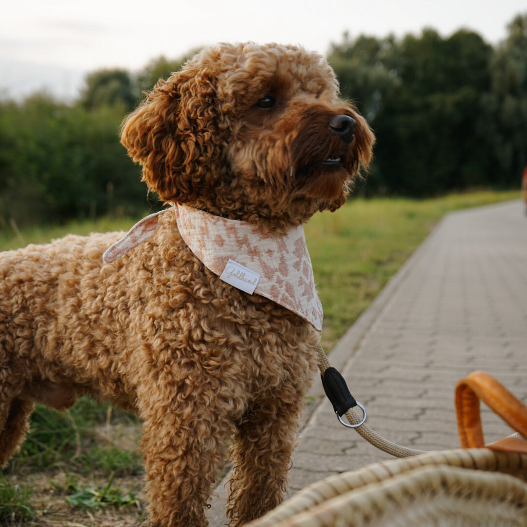 Hundehalstuch hell cognac / hellbeige