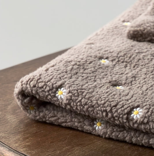 Teddydecke Gänseblümchen