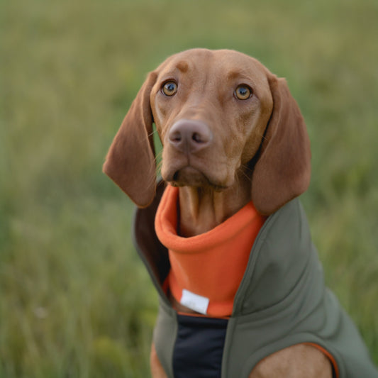 Hundeloop Fleece orange