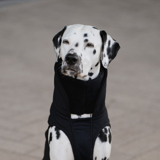 Hundeloop Fleece schwarz