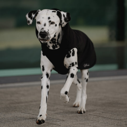 SALE leichter Hundemantel CosyShell light schwarz ohne Reflektoren // diverse Größen