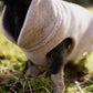Hundepullover CosyShirt light Strick zimtfarben