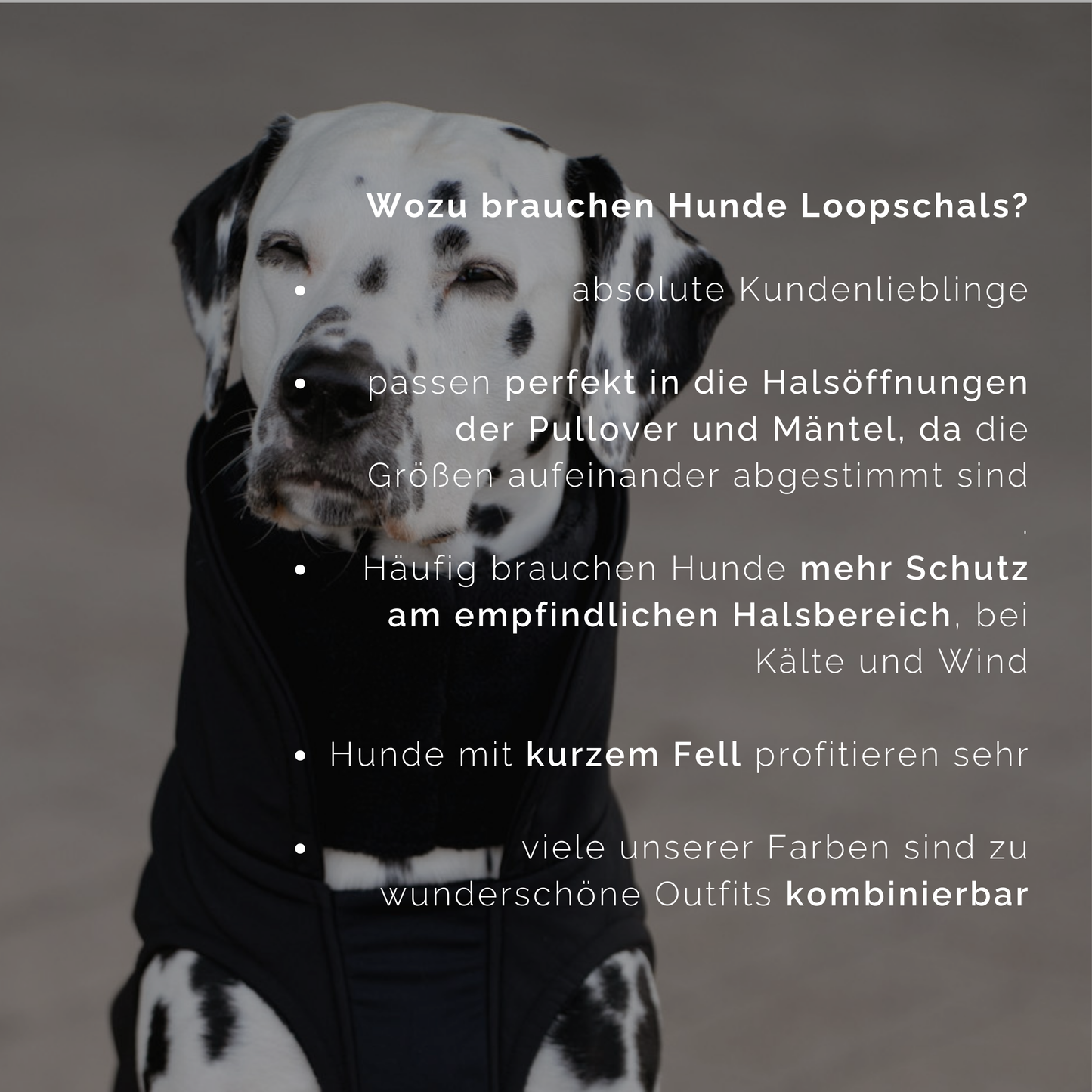 Hundeloop Fleece schwarz