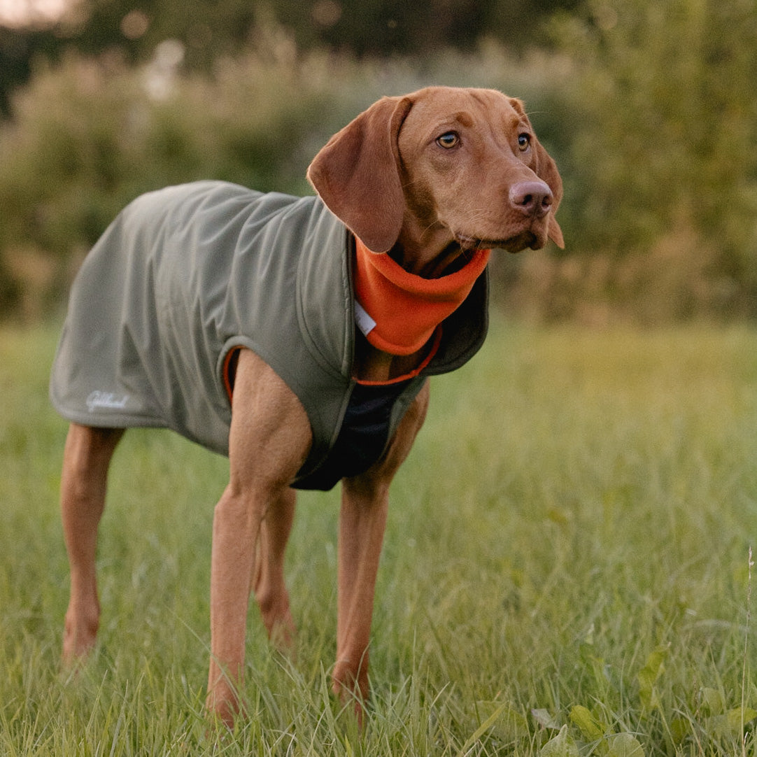 warmer Hundemantel CosyShell warm khaki / orange