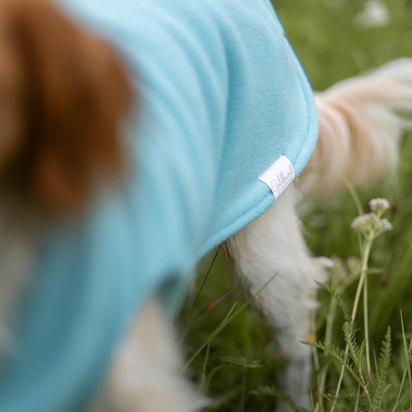 Hundepullover CosyShirt stay warm aqua