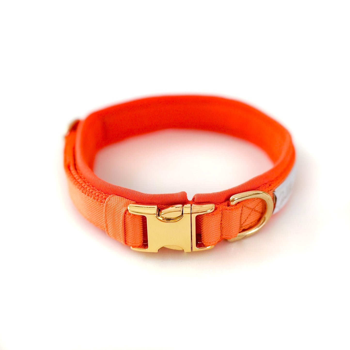 BS Muddy Paw Halsband orange