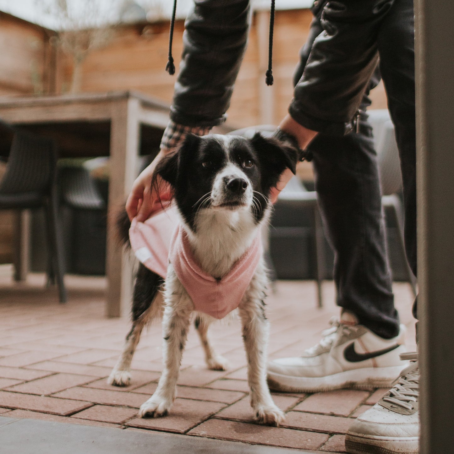 Hundebademantel CosyShirt dry rosa