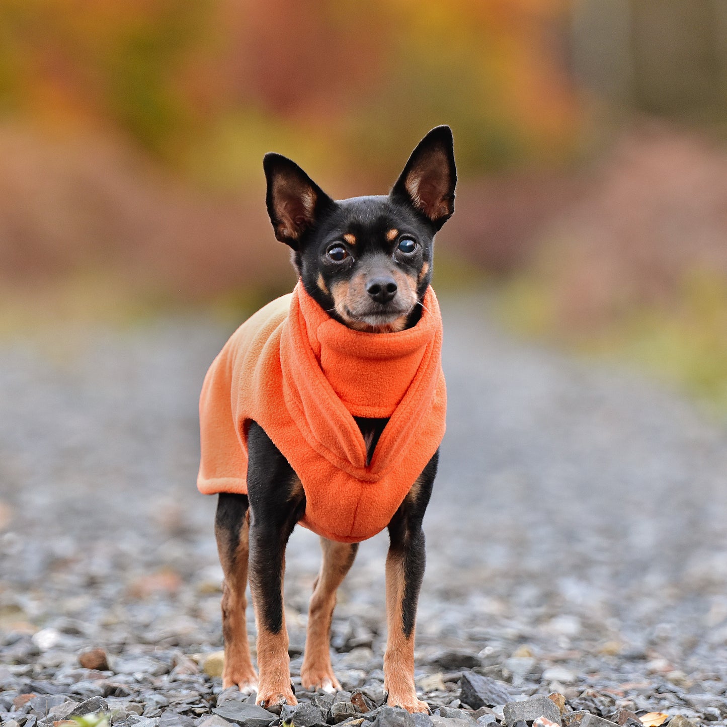 Hundeloop Fleece orange