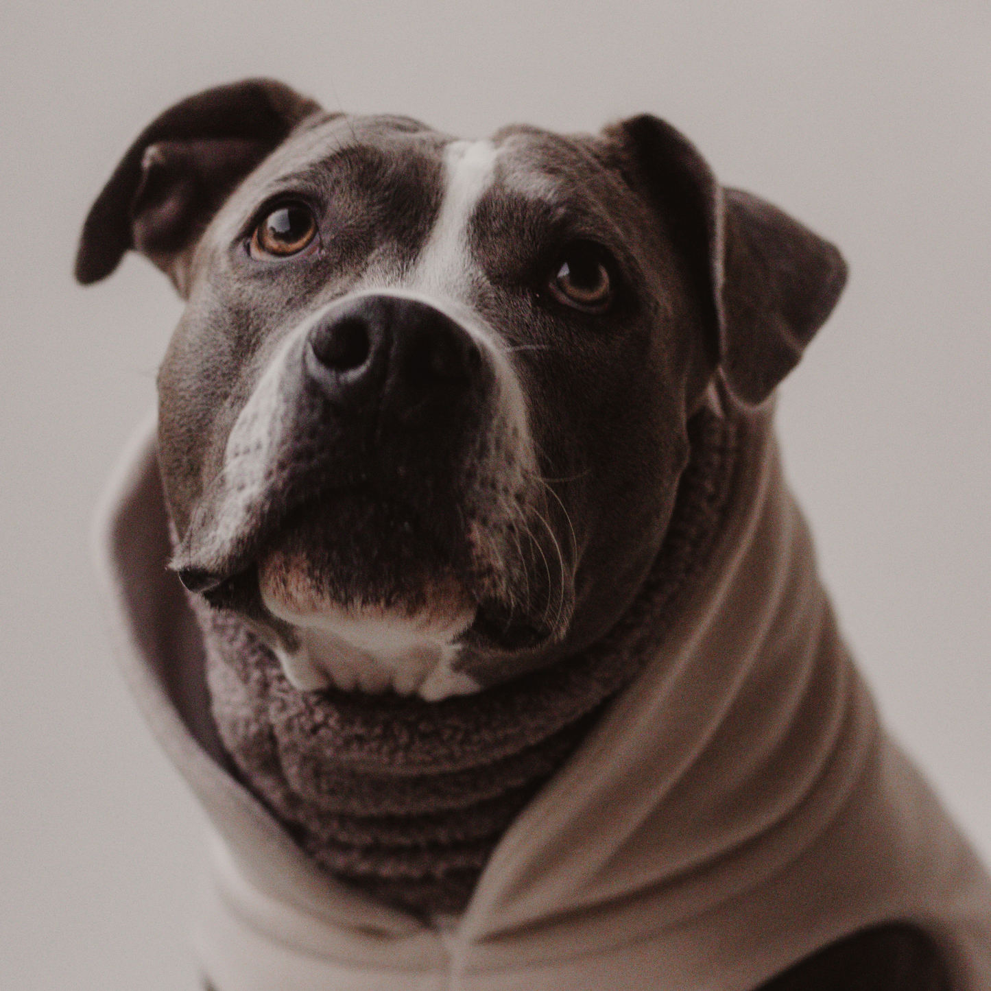 Hundepullover CosyShirt stay warm Fleece oatmeal