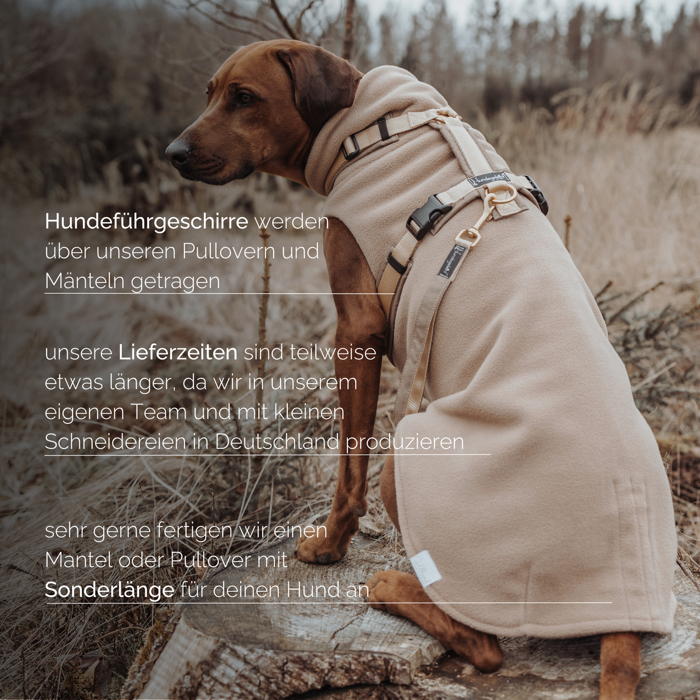 Hundepullover CosyShirt stay warm Teddy blush