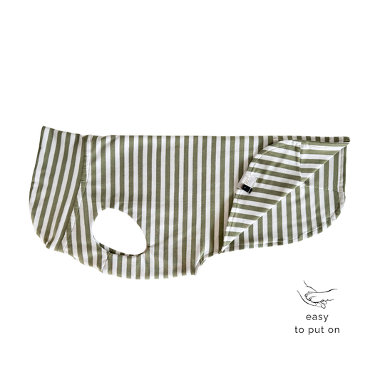 leichtes Hundeshirt CosyShirt light French Terry Stripes sage