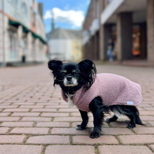 SALE Hundepullover CosyShirt stay warm Teddy blush // ALLE GRÖßEN