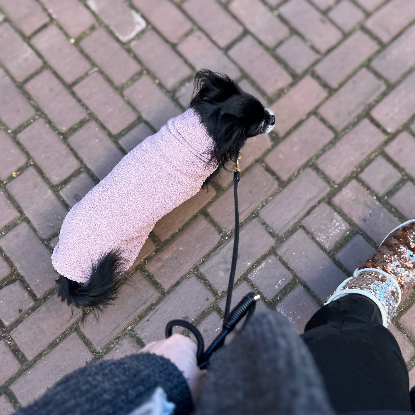 SALE Hundepullover CosyShirt stay warm Teddy blush // ALLE GRÖßEN