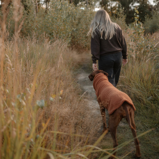 Hundepullover CosyShirt stay warm Teddy cognac