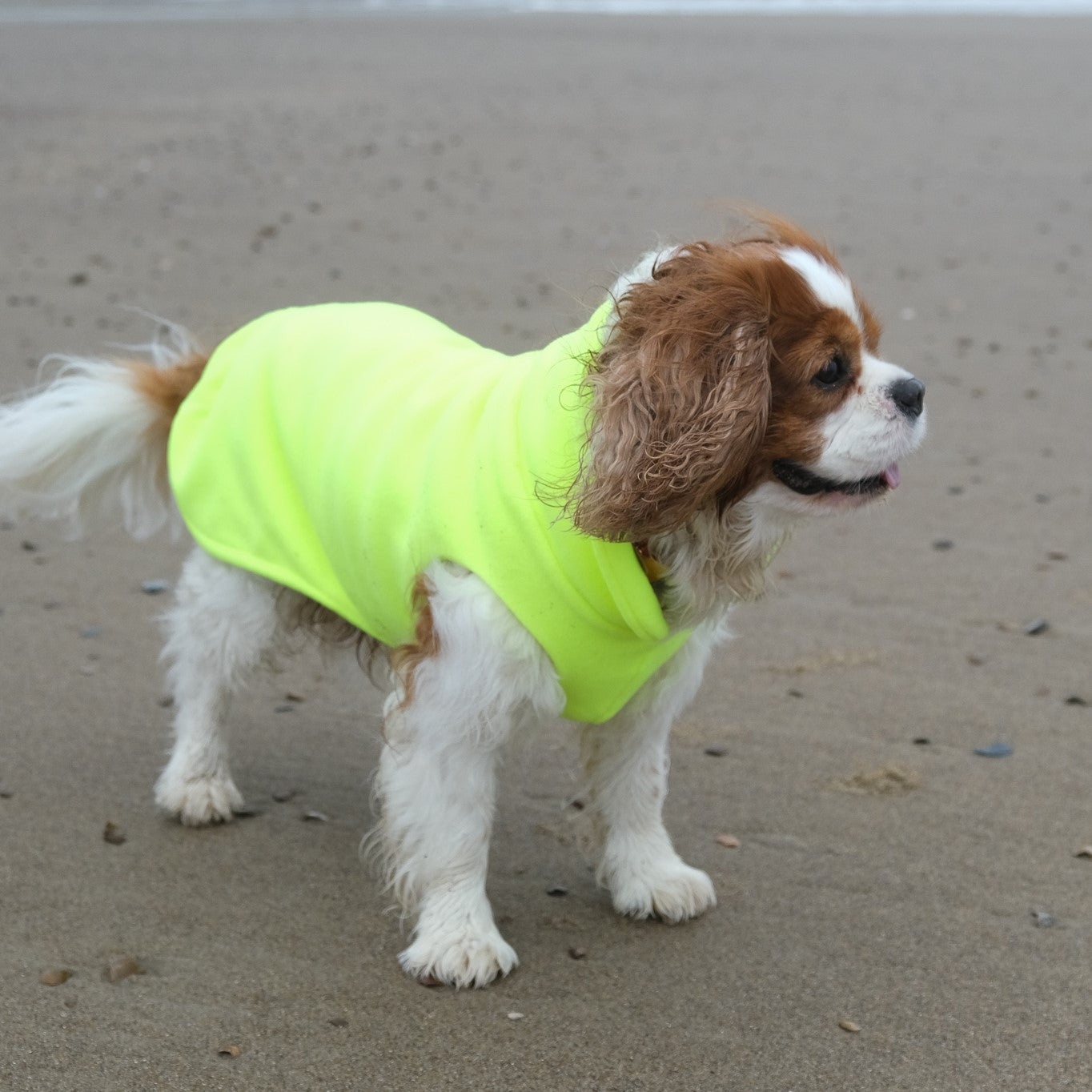 Hundepullover CosyShirt stay warm & in sight neongelb