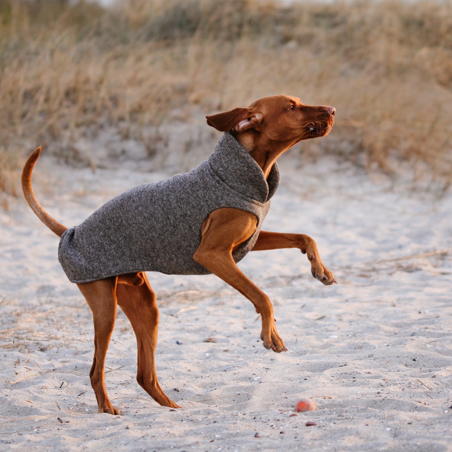 Hundepullover CosyShirt stay warm taupe meliert