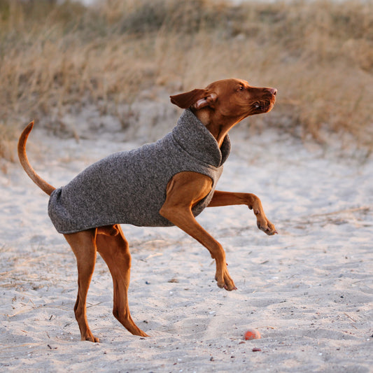 Hundepullover CosyShirt stay warm Strickfleece taupe meliert