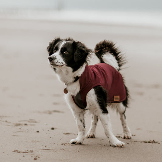 leichter Hundemantel CosyShell light dunkelrot