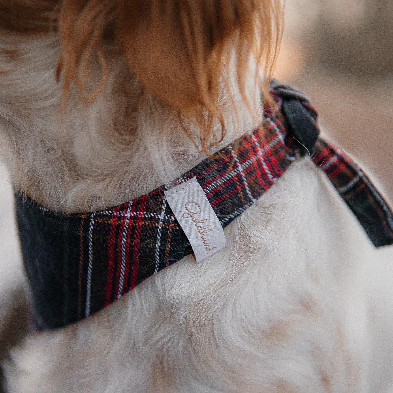 Hundehalstuch Schneeflocken dunkelblau kariert