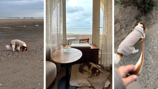 Travel Essentials - Winter Edition