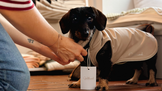 Private Shopping & persönliche Beratung im Goldhund Atelier, Düsseldorf