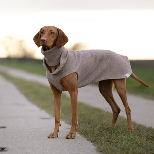 Hundepullover CosyShirt light Strick zimtfarben