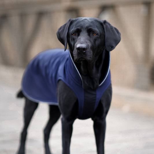 leichter Hundemantel CosyShell light dunkelblau
