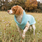 Hundepullover CosyShirt stay warm aqua