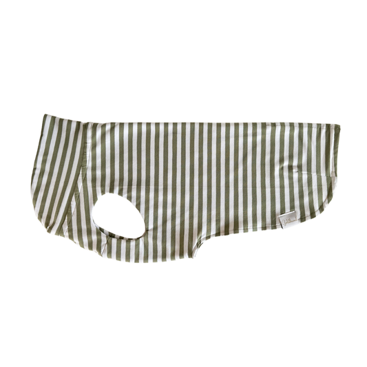 leichtes Hundeshirt CosyShirt light French Terry Stripes sage