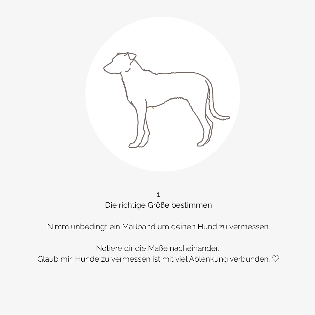 Hundegeschirr CARE blue Leaves