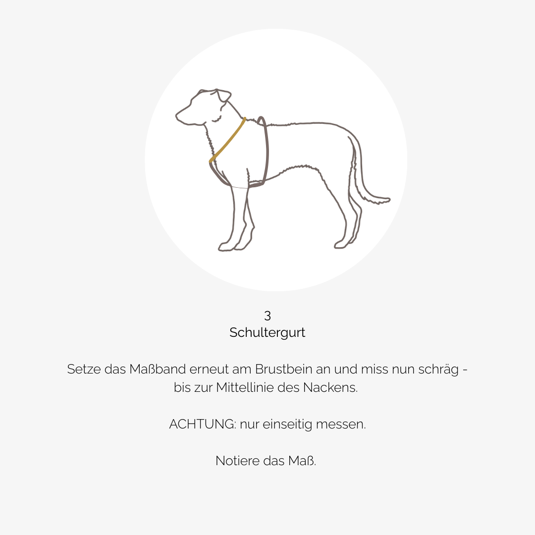 Hundegeschirr CARE Grapefruits
