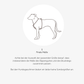 Hundegeschirr CARE blue Leaves