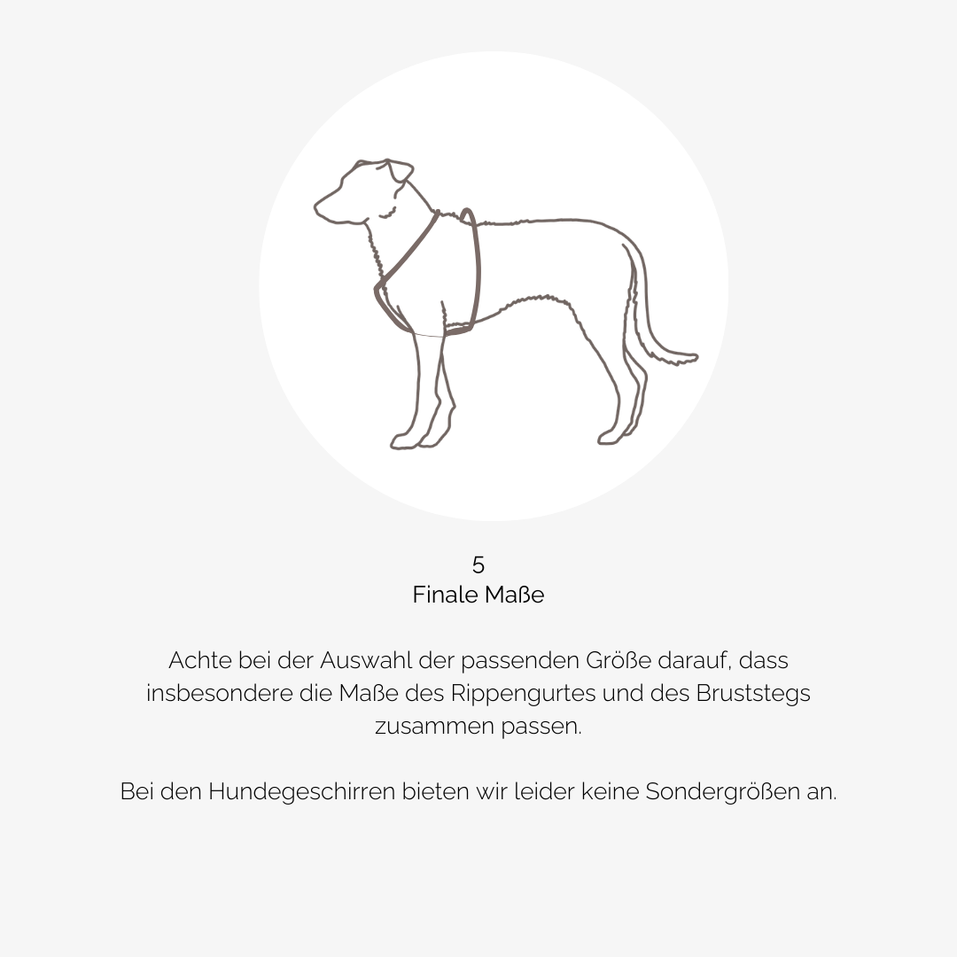 Hundegeschirr CARE blue Leaves
