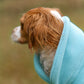 Hundepullover CosyShirt stay warm aqua