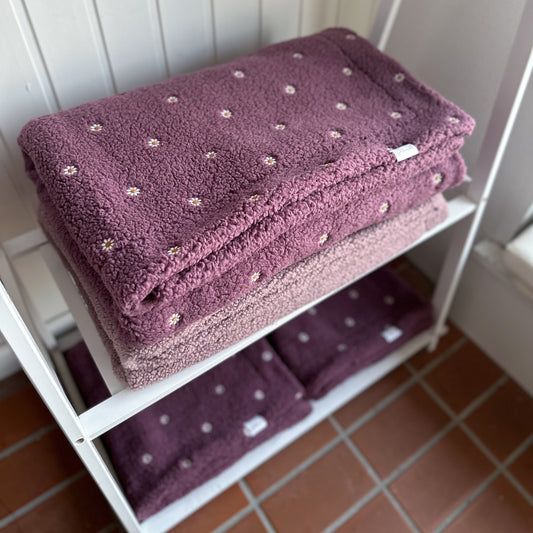 Teddydecke Gänseblümchen berry