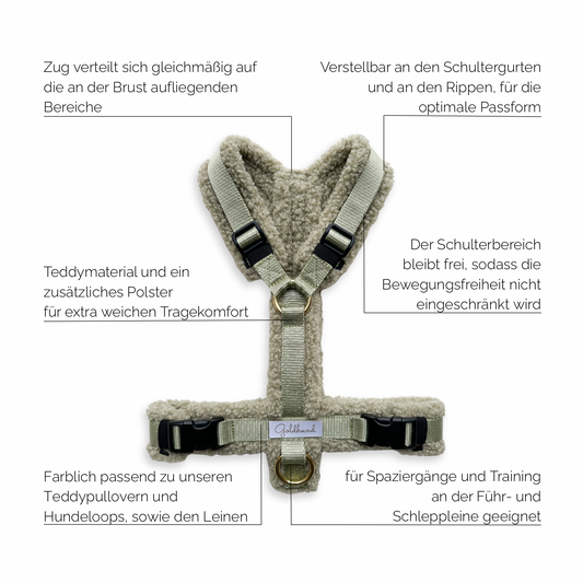 Hundegeschirr Teddy light sage