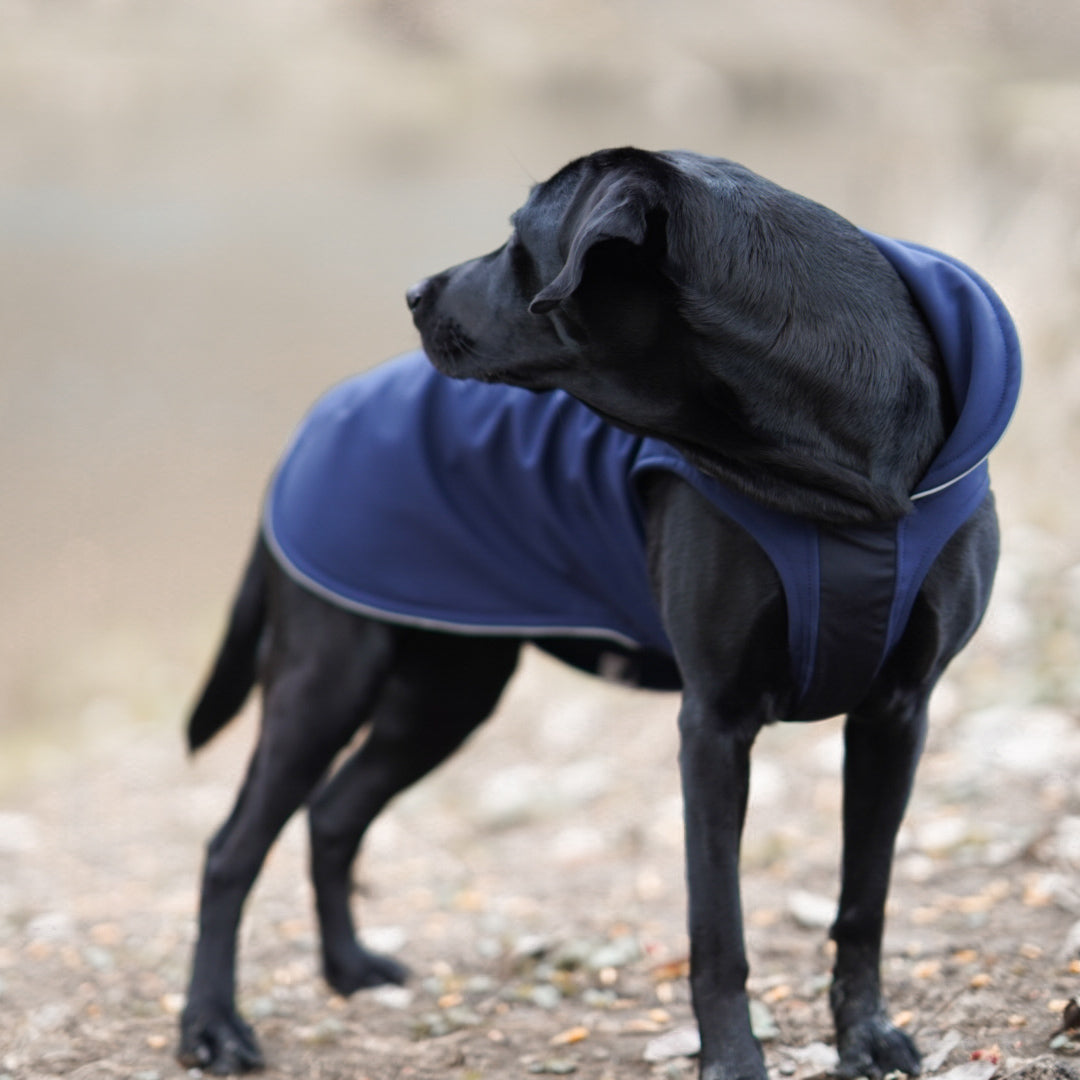 leichter Hundemantel CosyShell light dunkelblau