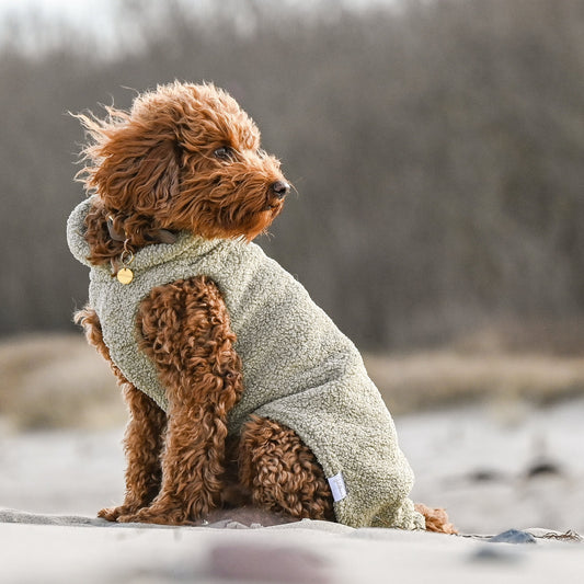 Hundepullover CosyShirt stay warm Teddy sage