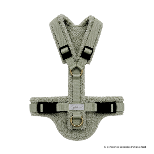 Hundegeschirr CARE Teddy light sage