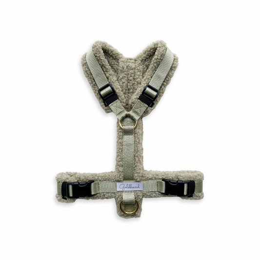 Hundegeschirr Teddy light sage