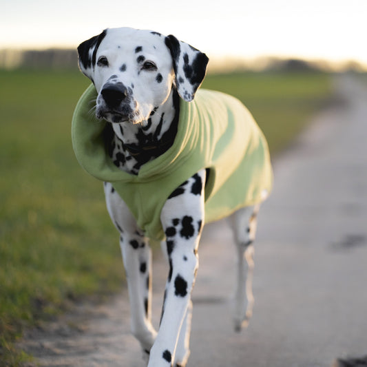 Hundepullover CosyShirt stay warm lindgrün